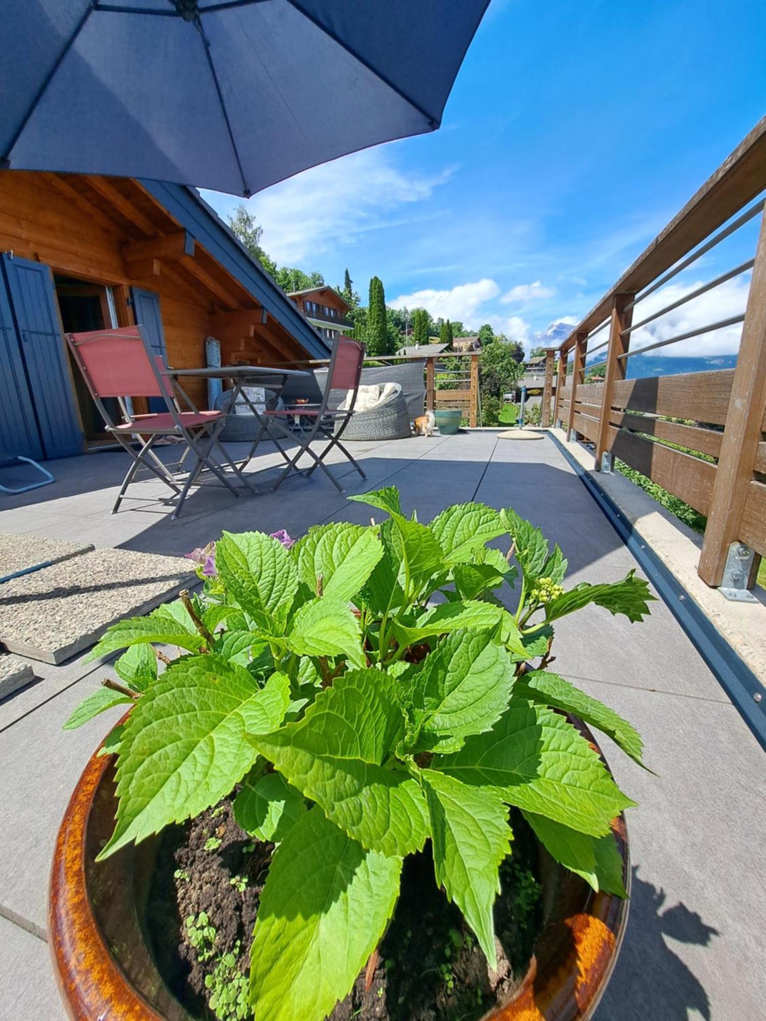 Alt'O Martinets Guest House Nendaz Exterior foto