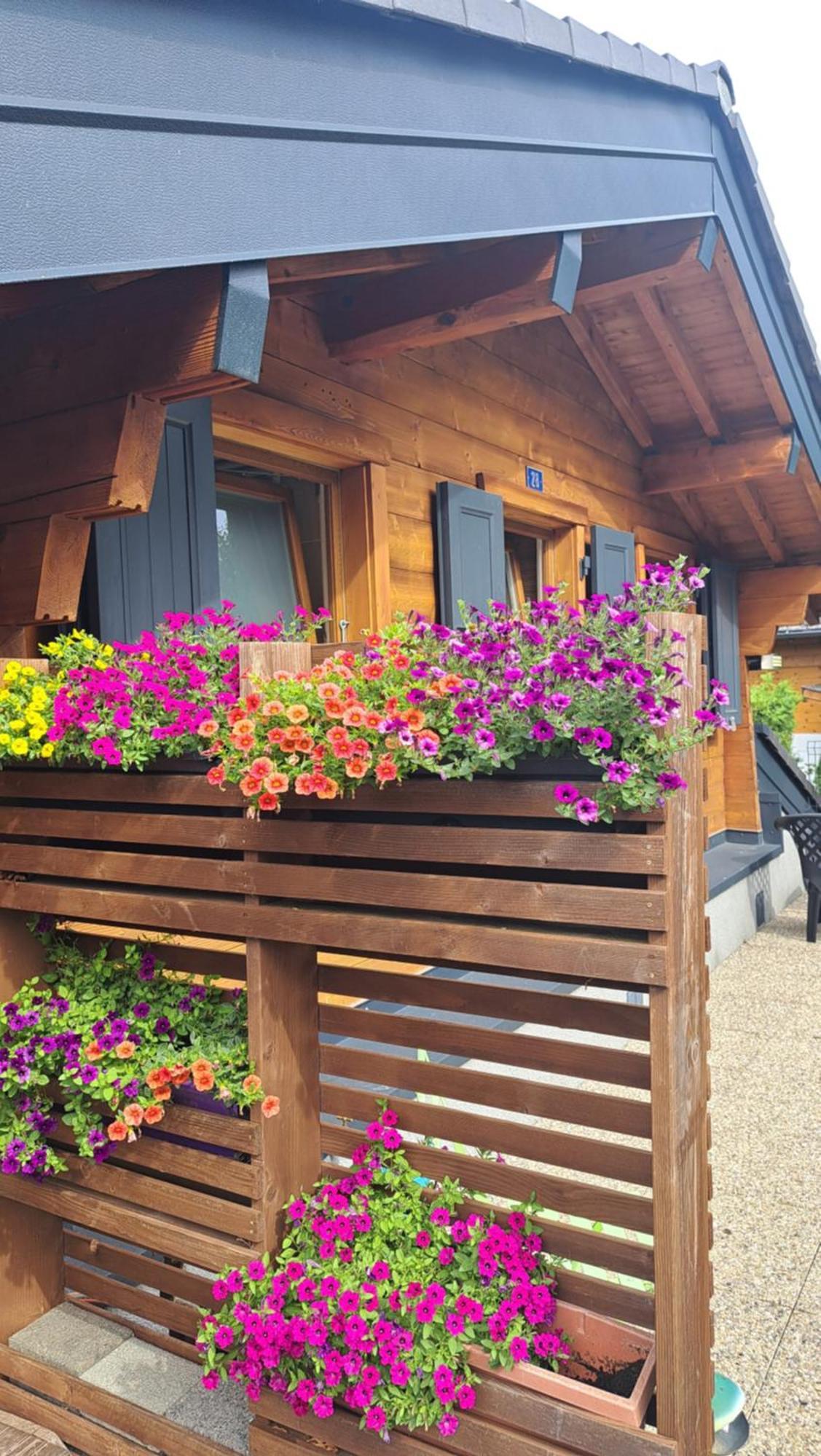Alt'O Martinets Guest House Nendaz Exterior foto